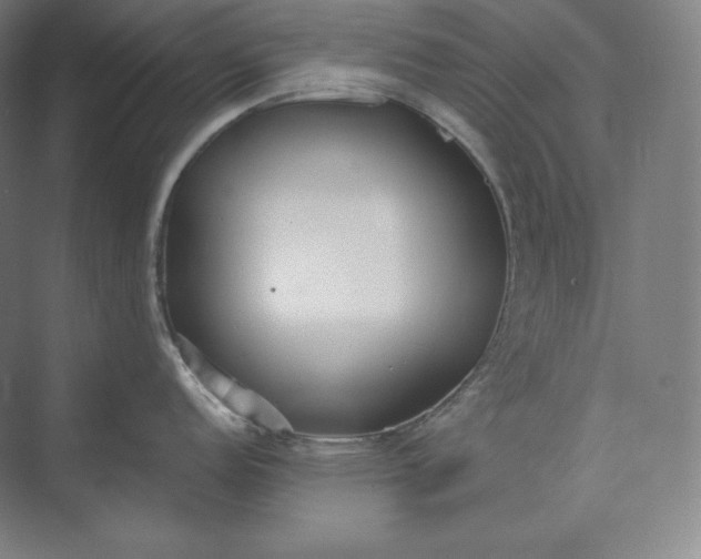 X0000073471152200608111529