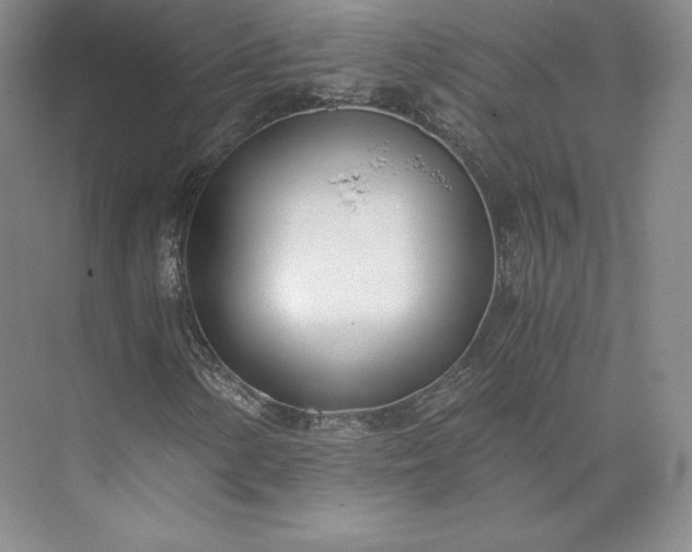 X0000073471154200608111528