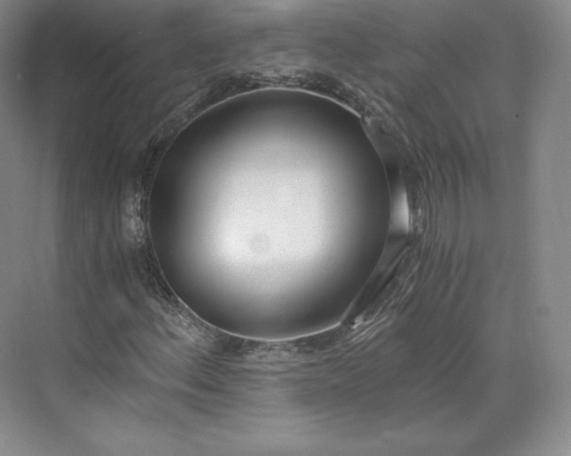 X0000073471156200608111528