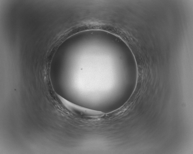 X0000073471157200608111528