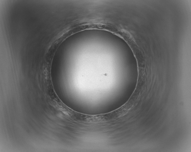 X0000073471159200608111528