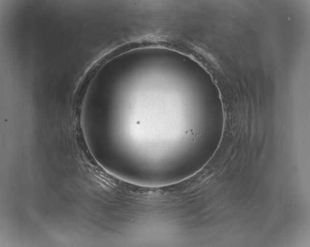 X0000073471160200608111528