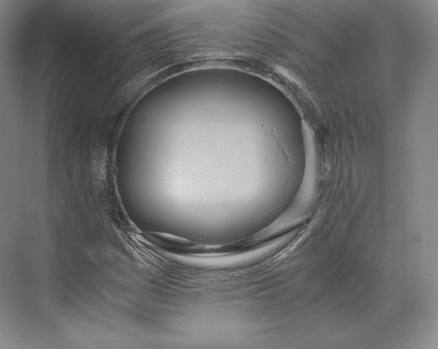 X0000073471161200608111528