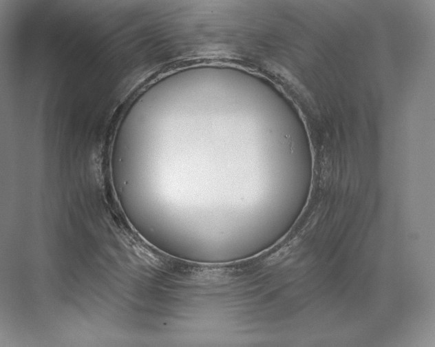 X0000073471162200608111528