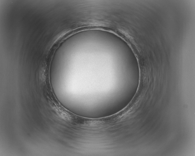 X0000073471163200608111528