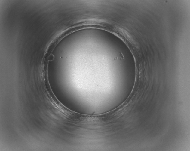 X0000073471164200608111528