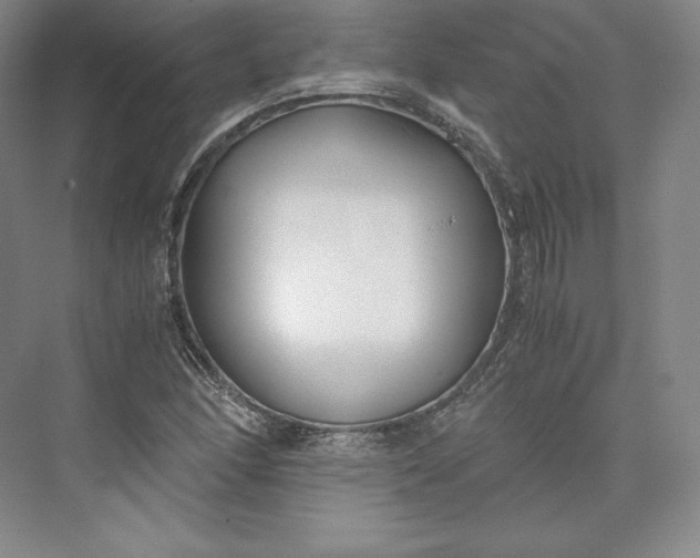 X0000073471166200608111528