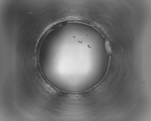 X0000073471168200608111528