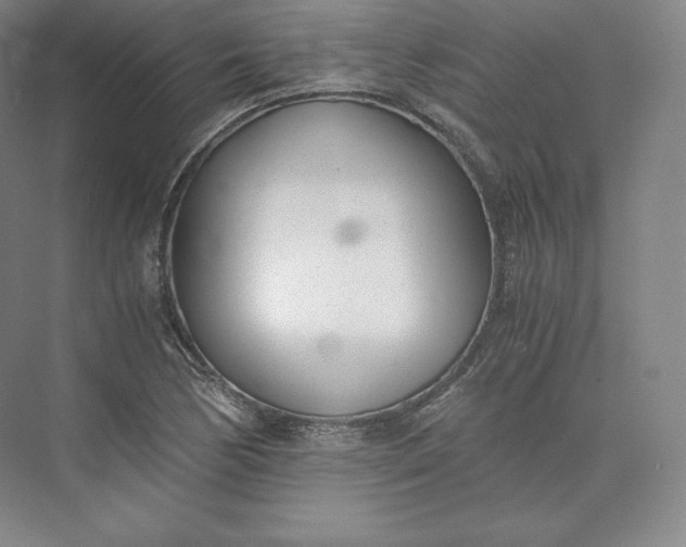 X0000073471170200608111528