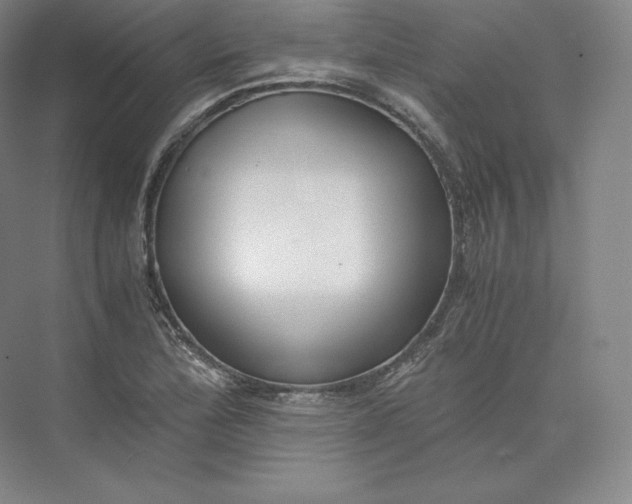 X0000073471172200608111528