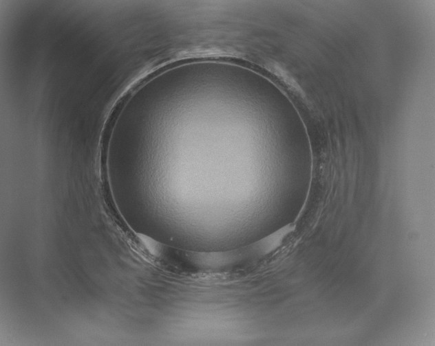 X0000073471173200608111528