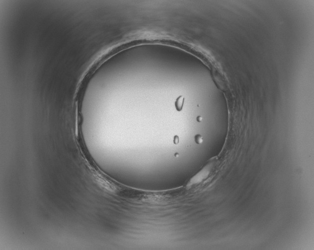 X0000073471175200608111528