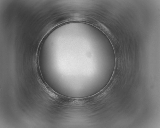 X0000073471178200608111528