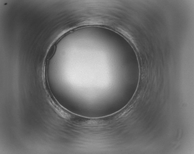 X0000073471179200608111528