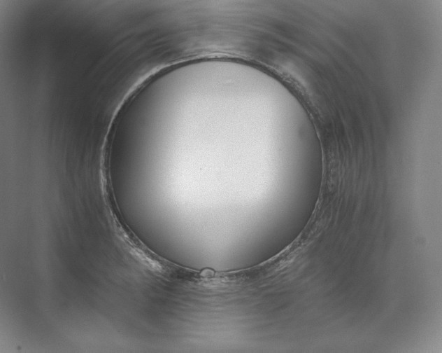 X0000073471182200608111528