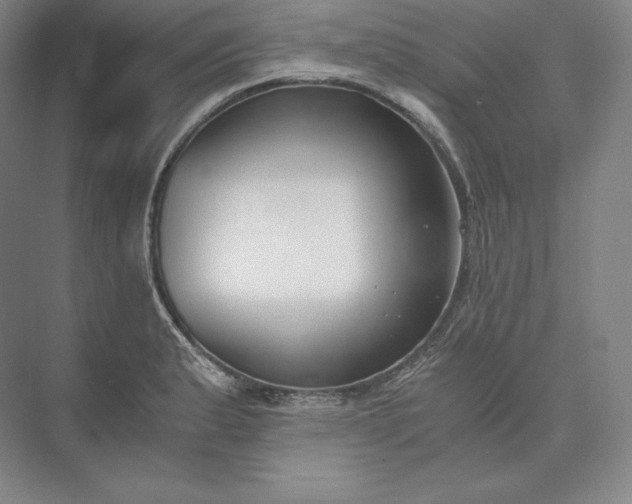 X0000073471183200608111528