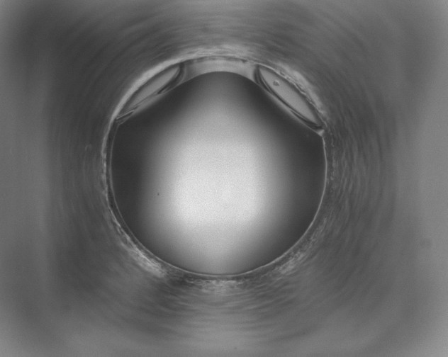 X0000073471184200608111528