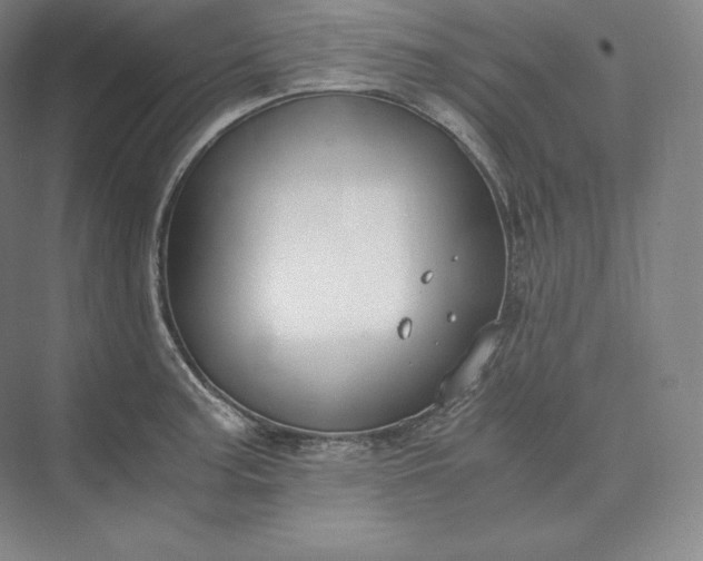 X0000073471187200608111528