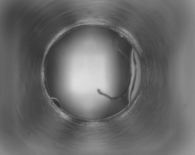 X0000073471188200608111528