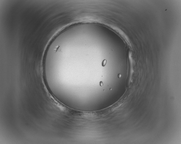 X0000073471191200608111528