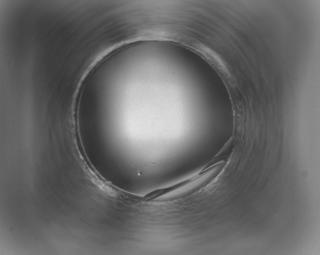 X0000073471192200608111528