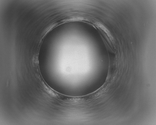 X0000073471193200608111528