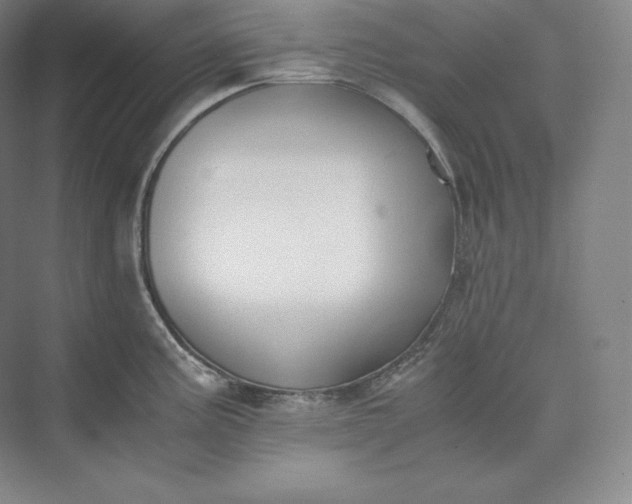 X0000073471195200608111528