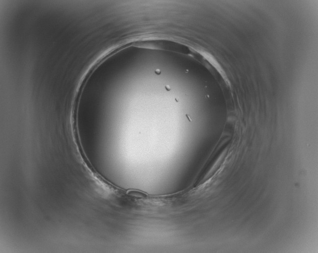 X0000073471197200608111528