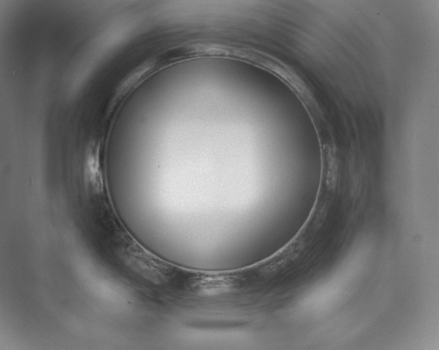 X0000073471198200608111528