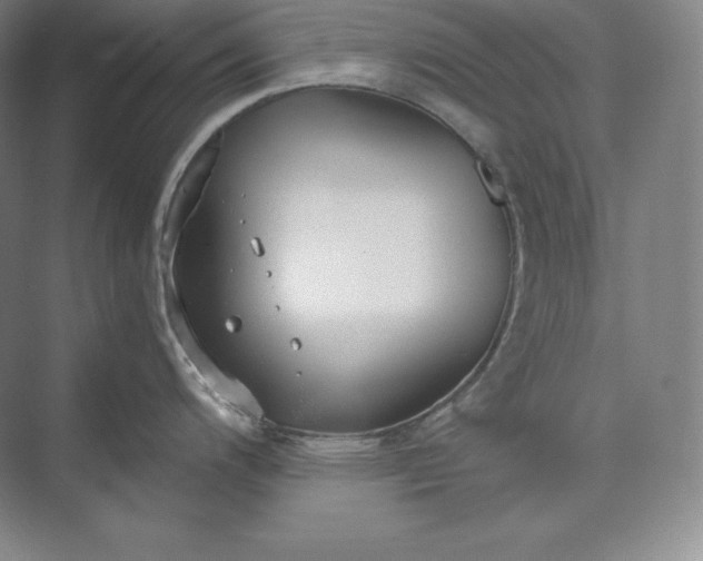 X0000073471200200608111528