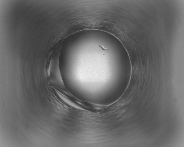 X0000073471202200608111527