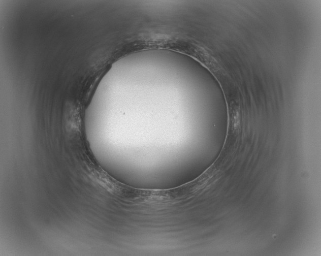 X0000073471204200608111527