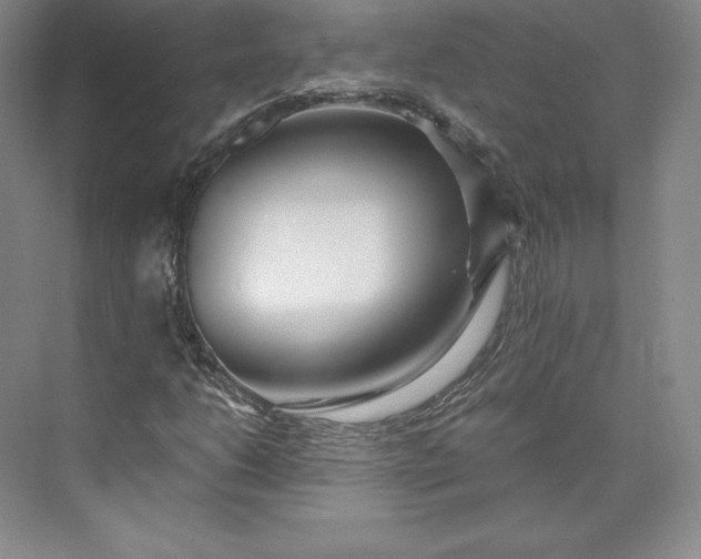 X0000073471206200608111527