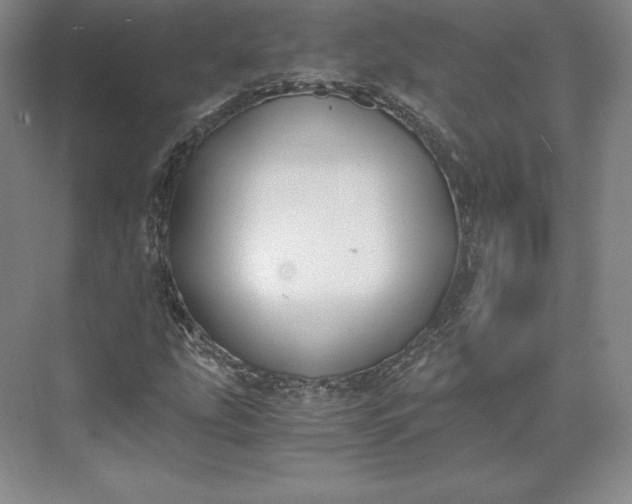 X0000073471207200608111527