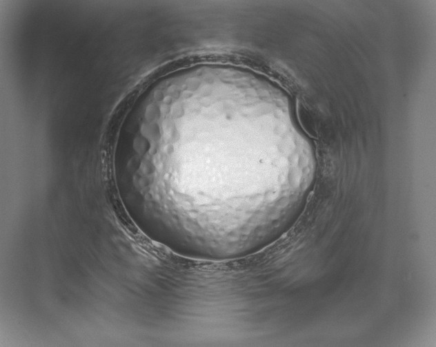 X0000073471208200608111527