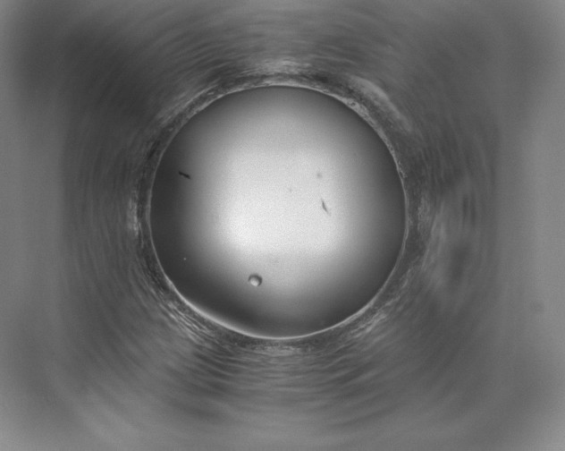 X0000073471209200608111527