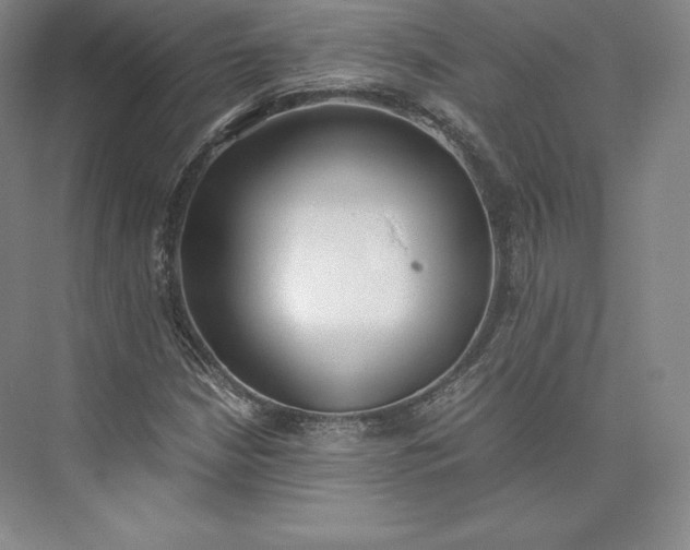 X0000073471210200608111527