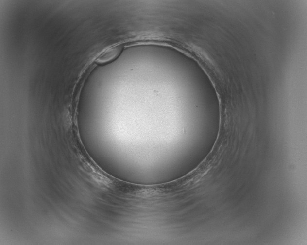 X0000073471212200608111527