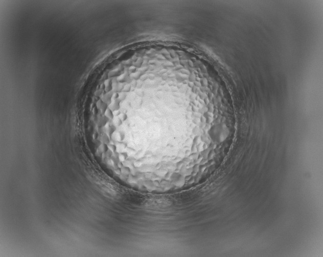 X0000073471215200608111527