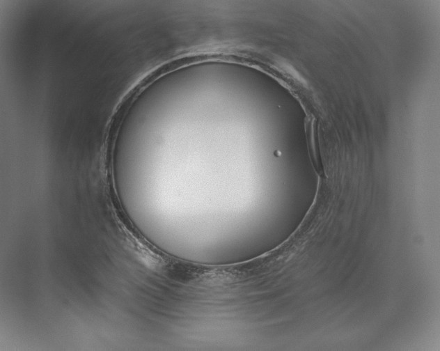 X0000073471216200608111527