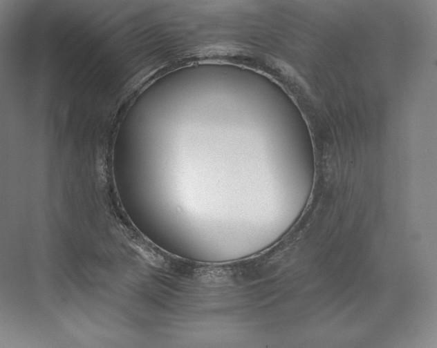 X0000073471217200608111527