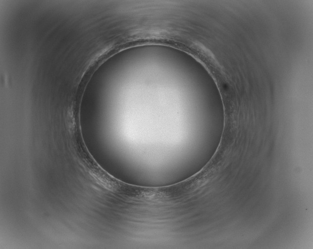 X0000073471218200608111527