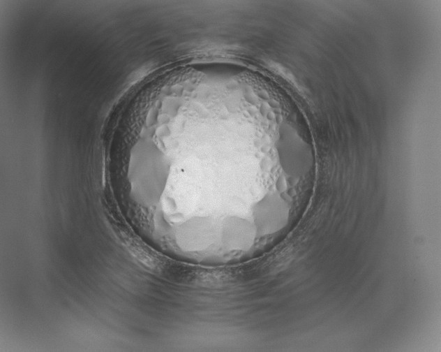 X0000073471219200608111527