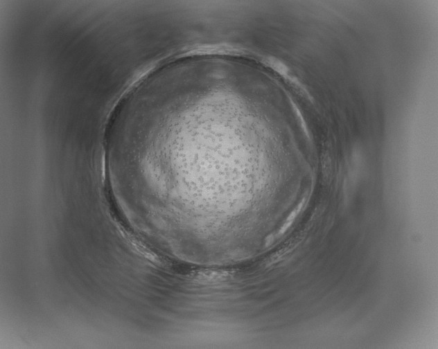 X0000073471221200608111527