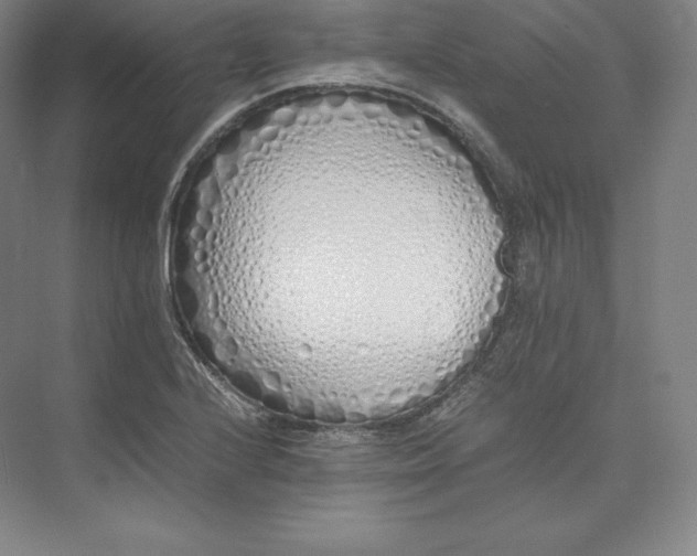 X0000073471224200608111527