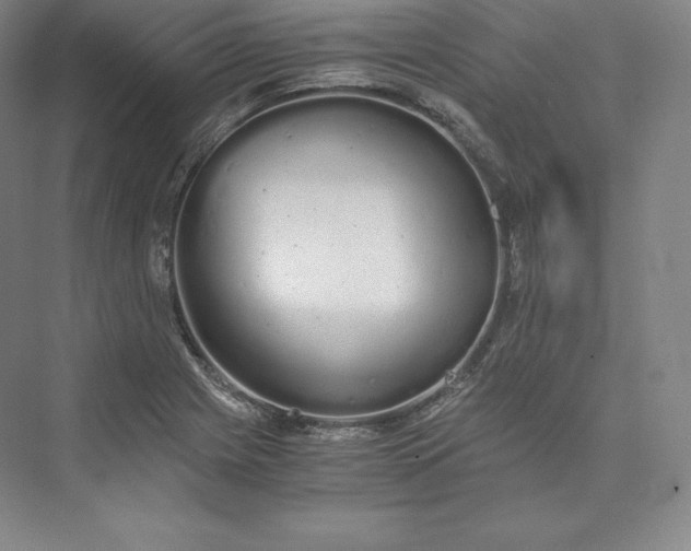 X0000073471225200608111527