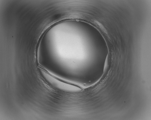 X0000073471226200608111527