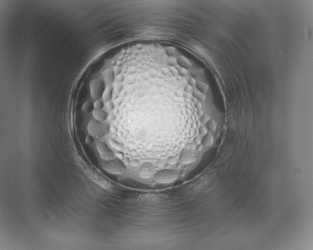 X0000073471227200608111527