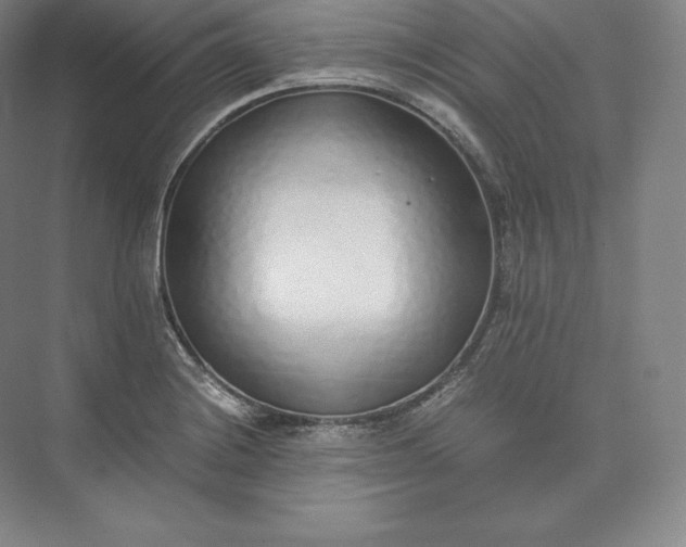 X0000073471228200608111527