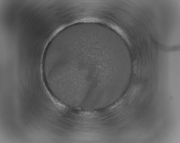 X0000073471229200608111527